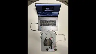 DUSHA tests