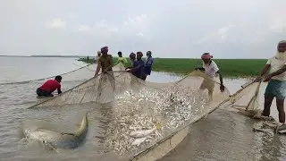 Best Unique River Fishing Technique in Village||Catching Small Fish in Net