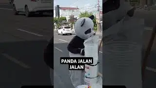PANDA JALAN JALAN #shortsfeed #panda  #viralvideo