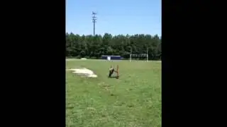 8 yr old baseball phenom