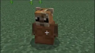 MINECRAFT - Ewok Skin Troll (SPAN)