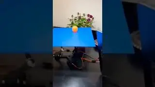 Nicolas Hammje&rsquo;s Ball-Balancing Bot Makes use of OpenCV on a Raspberry Pi to Cease a Ball Lifeless