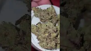 🤯🤯🤯710 LABS ~ RICK JAMES #6 😈💥💥💥😈