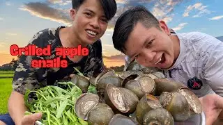 🐌 Catching Snails in the Fields & Enjoying Rustic Grilled Snails 🍃🔥 | Living Nature