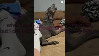 ❤️#bluelacy