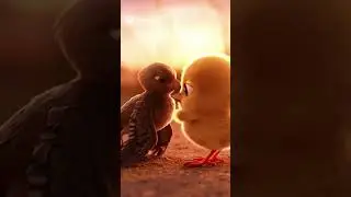 The Broken Wing 🕊️ | Emotional Short Film About Hope & Friendship #babifreitas #cat #soralife #cute