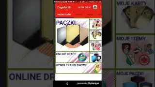 Tykalni #1 Dogefut 18 Edition EGIPT i Panama