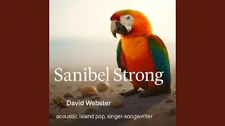 Sanibel Strong, Recovery From The Storm