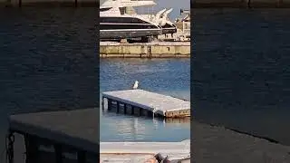 Dus cu pluta! 😁