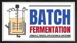 Batch Fermentation & Batch Culture Explained | Principle, Process, Applications & Limitations