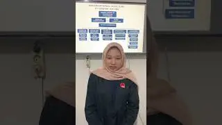 Company Structure Organization AB 3 XIII 
