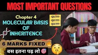 बस इतने कर लो 🎯 | Molecular Basis of Inheritance Important Questions | Hsc Board Important Questions
