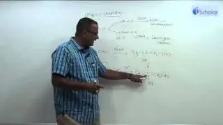 Chemistry - Demo Class