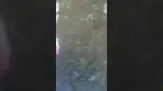 Bromas de rio alutimo los restaron