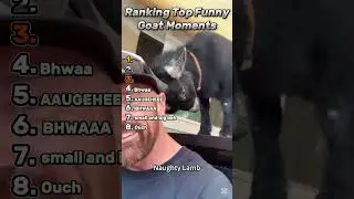 Рейтинг лучших моментов Goats!