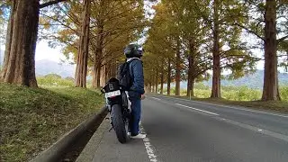 詐欺の次は給料未払い？どーなっとんねん！【メタセコイア並木】