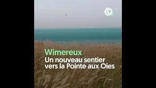 Wimereux : un nouveau sentier pour d&eacute;couvrir la Pointe aux Oies