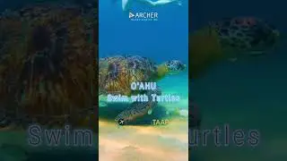 #evolutiontravel #expediataap #hawaii #travelagent #vacationvibes