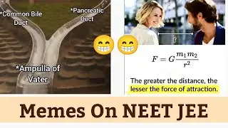 #17 Memes On NEET & Medical Students | PCMB memes | Funny NEET JEE memes | NEET EXPLORER