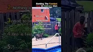 Ranking The Funniest Dog Vs Delivery Man #funny #funniestmoments #funnyvideos