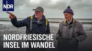 Zur&uuml;ck bei den Wattm&auml;nnern von Pellworm | Die Nordreportage | NDR Doku