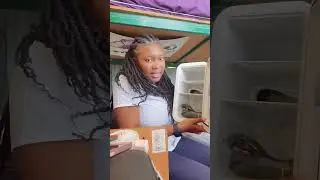 Mini Fridge Review