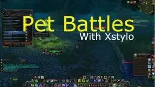 Xstylo's Epic Pet Battle! [Pok&eacute;mon POWER!]