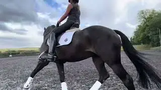 Camilla and Seven training with Sara Jane Lanning - September 2024