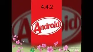 Xolo Era all features and Specifications