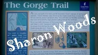 Great Parks | Sharon Woods | Gorge Trail