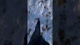 1 snow in 2025 in Nottingham 🏴󠁧󠁢󠁥󠁮󠁧󠁿 t