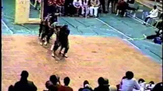 Pan Hell Council Step Show 1998 Omega Psi Phi