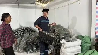 Mu lập Dai Rẳng Muốn Xin Lại Ruộng nhất nguyêth