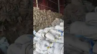 Bao bố cũ d&ugrave;ng bảo dưỡng b&ecirc; t&ocirc;ng, quấn gốc c&acirc;y, đựng n&ocirc;ng sản gọi 0903864149 zalo