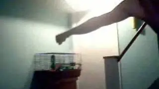 Dennis1.WMV