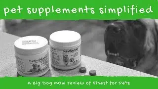 Pet Supplements for Large Dogs | Probiotics | Fish Oil | Joint Health | A Review of Finest for Pets