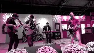 Amplifield - Free Bird (Lynyrd Skynyrd cover)