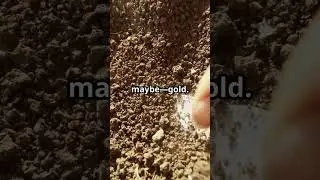 Metal Detecting Arizona: Is there Gold in This Desert? #desertgold #prospecting #gold #adventure