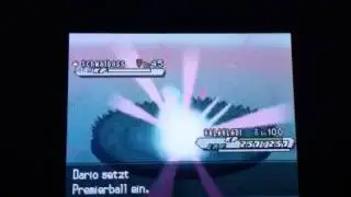 Pokemon Shiny Schwalboss / Swellow after 1,311 REs white 2