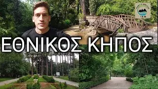 ΕΘΝΙΚΟΣ ΚΗΠΟΣ: Ένας βροχερός περίπατος στο κέντρο της Αθήνας•Εκδρομή με τον Χάρη ( National garden )