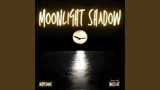 Moonlight Shadow (Nightcore)