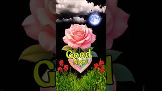 Good Night Shorts Video 💤 #shorts #shortsfeed #flowerstatus