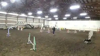UKI home my arena 8060 Jumpers 1 week 185 Chris Edmark H15358 Xtra D35154 12 inch jump height Champ