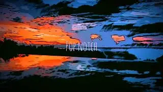 evvz - Honest