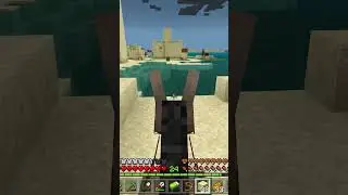 Can a Donkey go in a Boat? | Minecraft #shorts