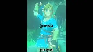 The Hero of the Wild vs. The Hero of Time #shorts #zelda #tearsofthekingdom #breathofthewild