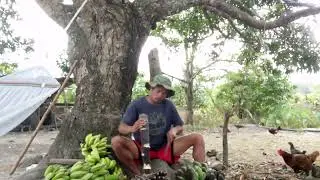 Binta nman Tayo Ng saging guys 💪