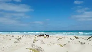 Urlaub auf Boa Vista – Entspannung und Abenteuer auf der Insel der Kapverden