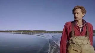 Bullfrog Films presents...OYSTER