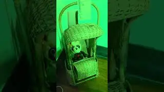 Misfit Apparitions recorded live from 1899 Bolton St. House